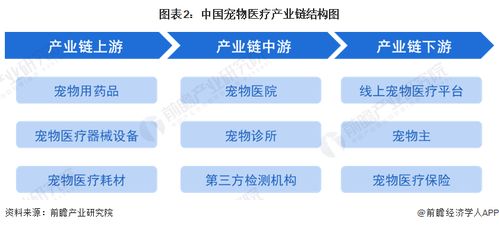 預(yù)見(jiàn)2023 中國(guó)寵物醫(yī)療行業(yè)全景圖譜